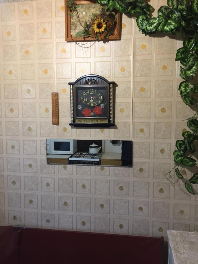 Квартира 2-Кімнатна Бюджетна Центр Парк-10Хв Wi-Fi Ternopil Luaran gambar